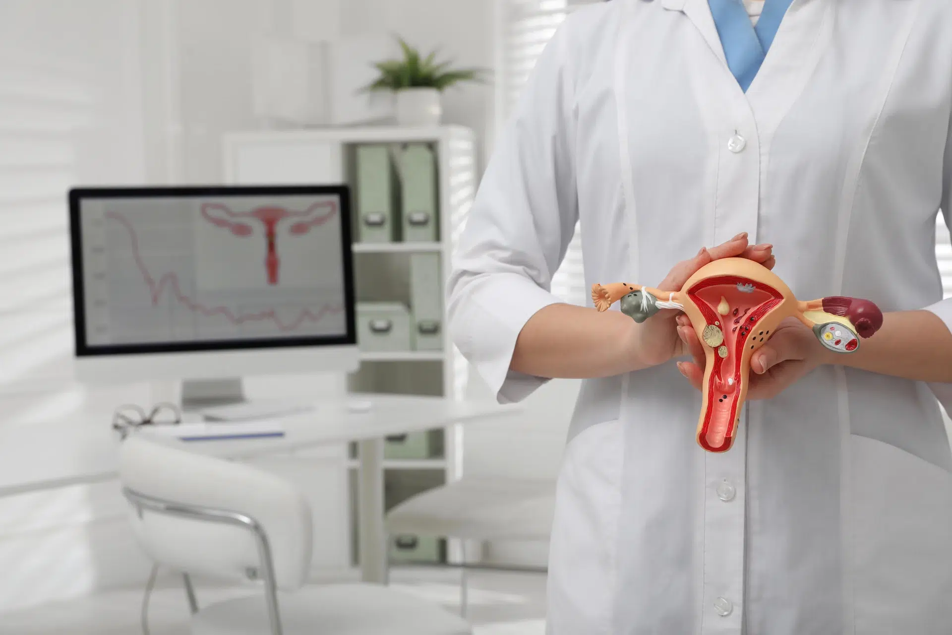 Pelvic Floor Physiotherapy Treatment For Bladder Leakage Pelvic Floor Physiotherapy Treatment For Bladder Leakage